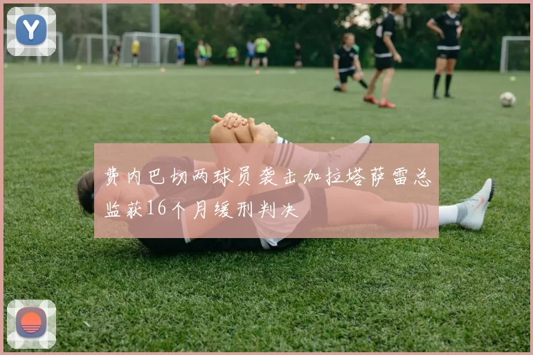 费内巴切两球员袭击加拉塔萨雷总监获16个月缓刑判决